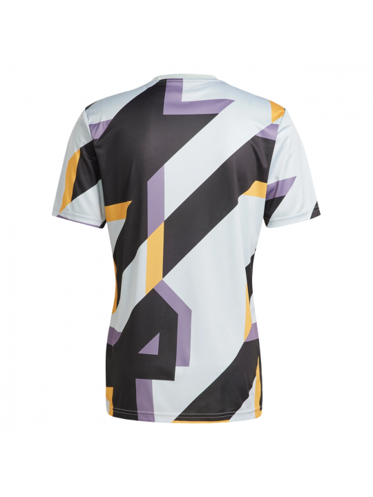 Camiseta Real Madrid CF Pre-Match 23/24