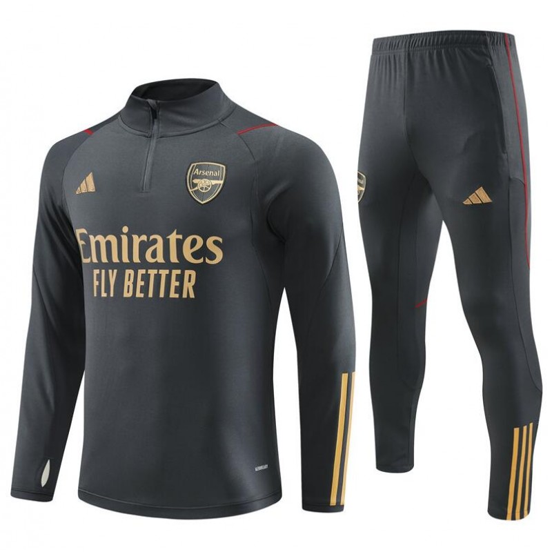 Chandal Entrenamiento Arsenal 2023-2024 Gris + Pantalones