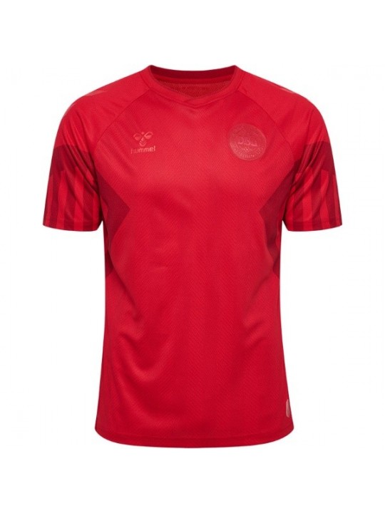 Camiseta Dinamarca Primera Equipación Mundial Qatar 2022