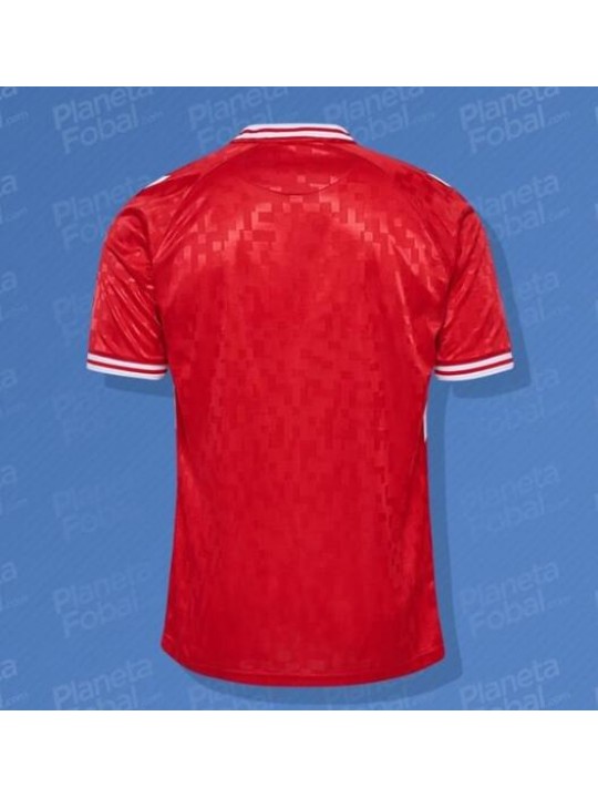 Camiseta Dinamarca Primera Equipación 2024