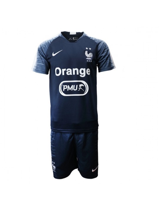 Camiseta de entrenamiento de Francia