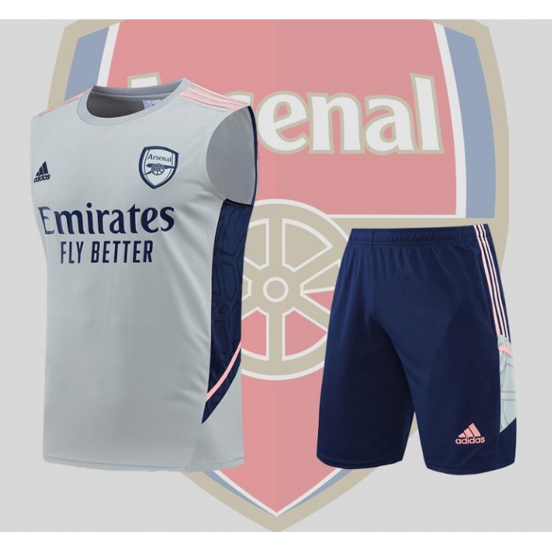 Camiseta Arsenal vest training suit kit grey 22/23