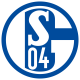 Camisetas Schalke 04