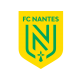 Camisetas del Nantes