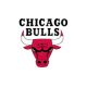 Chicago Bulls